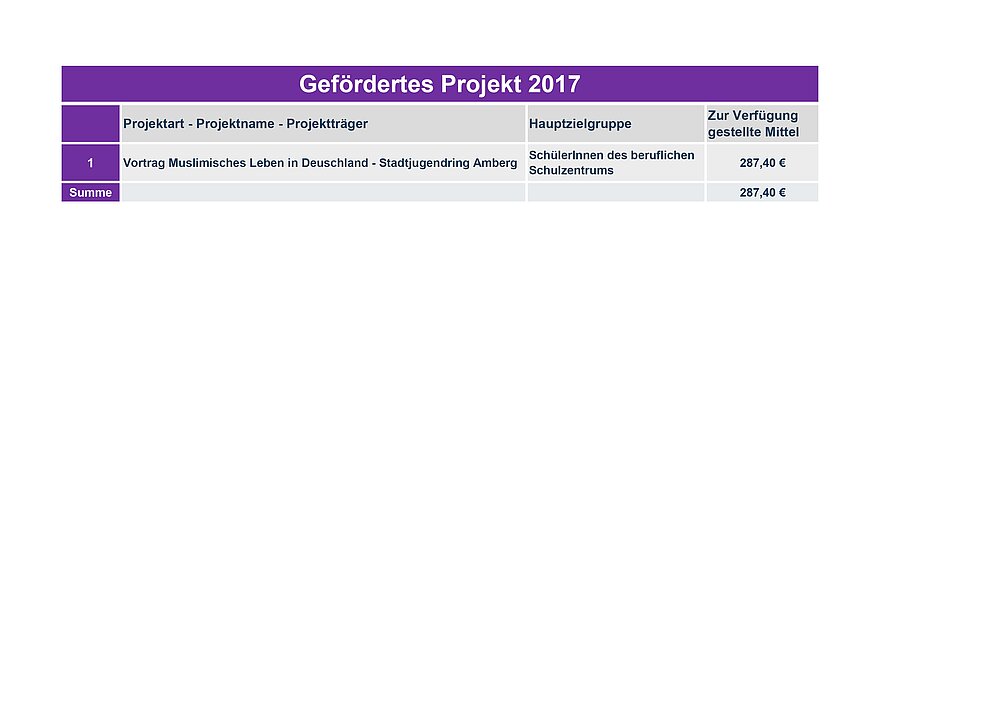 Projekte_2017_der_Partnerschaft_fuer_Demokratie_Amberg_page-0001